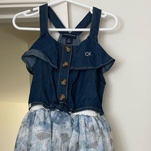Toddler girl denim and flutter dress